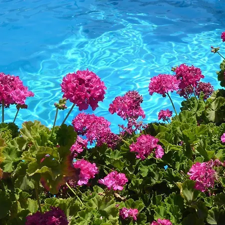 Romantica Aparthotel Georgioupoli